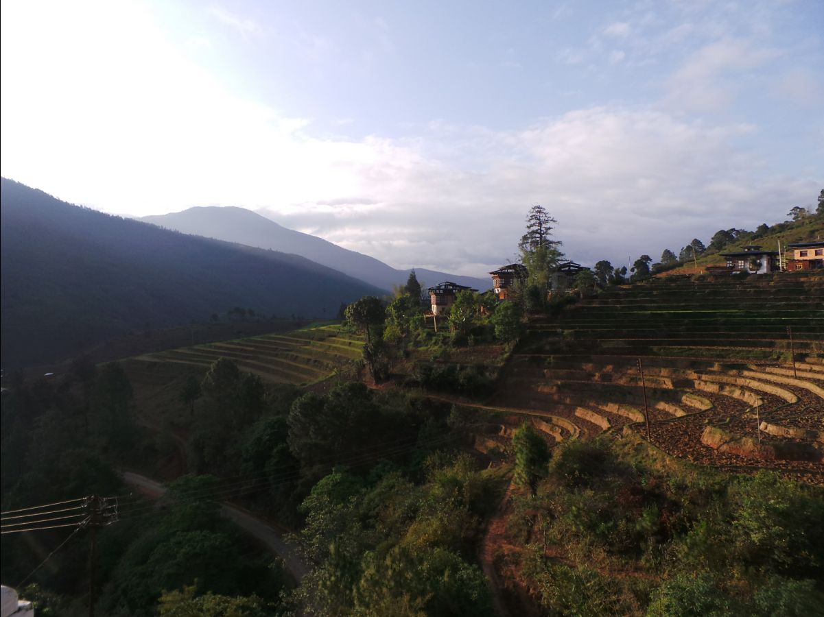 Punakha Hotel16